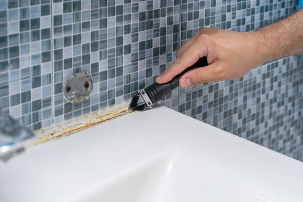 Best Toxic Mold Removal  in North Weeki Wachee, FL